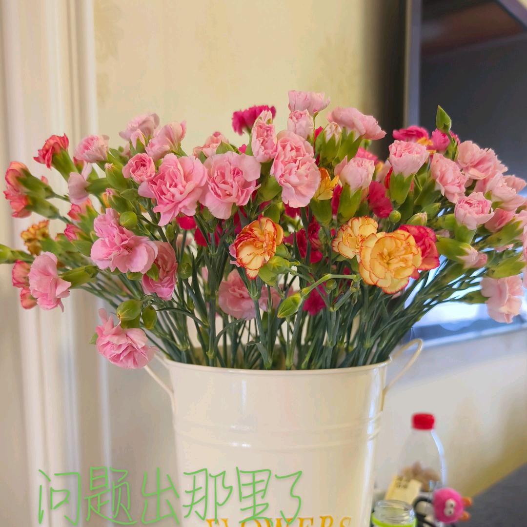艺然