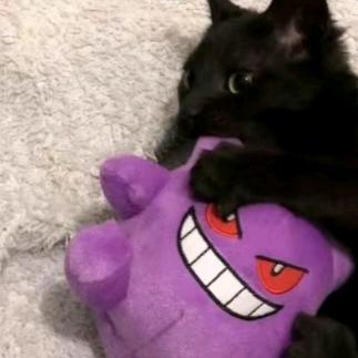 查无此人额呵呵
