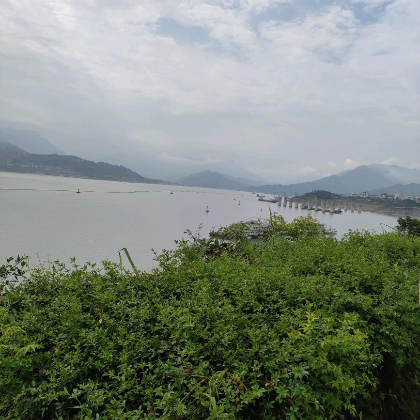 何万霞