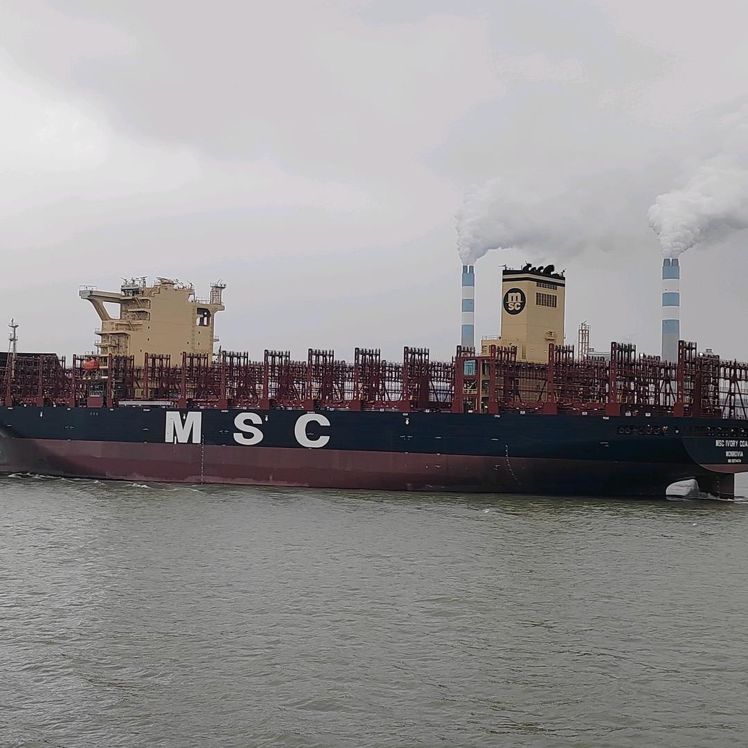 一帆风顺🐰🐰