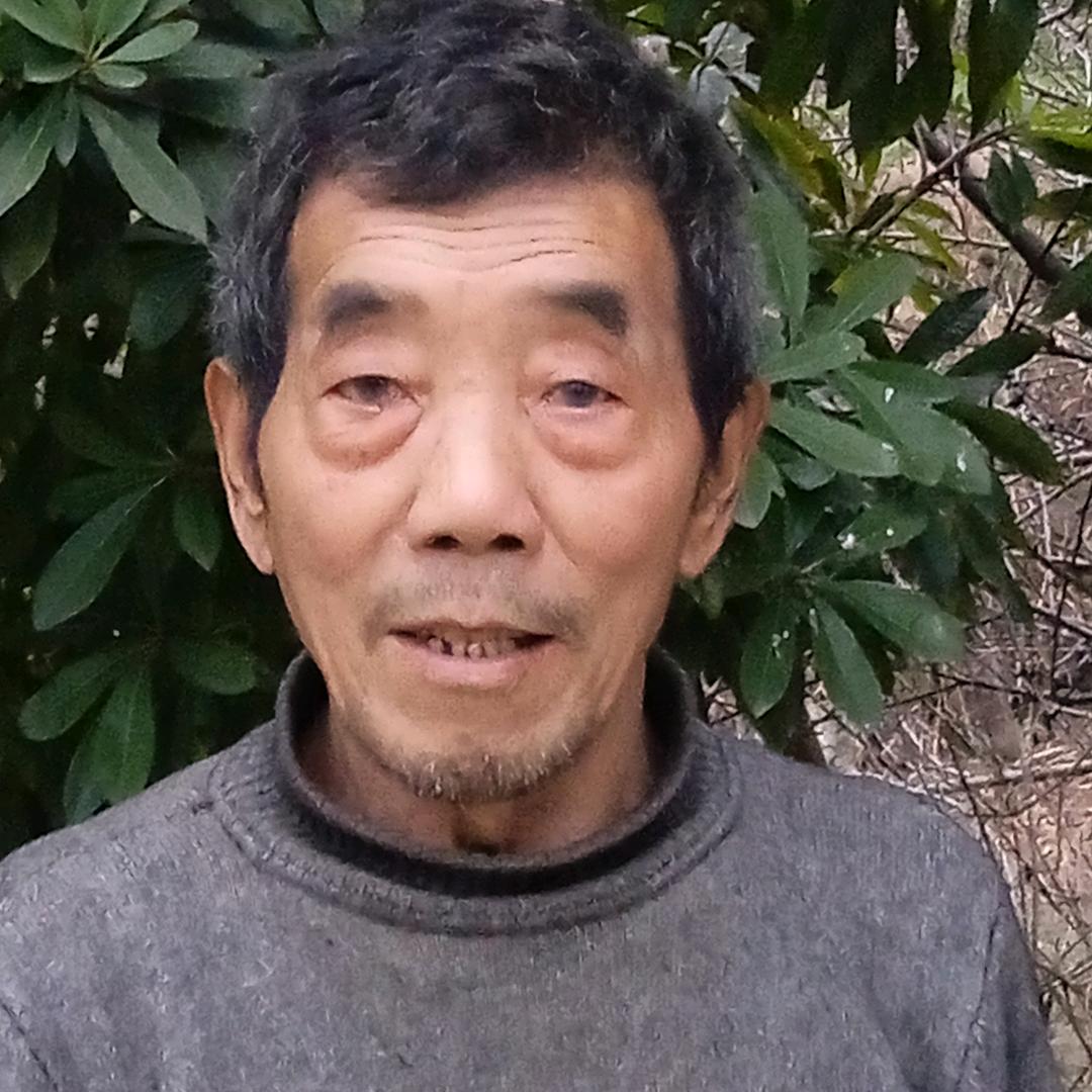 老桂198