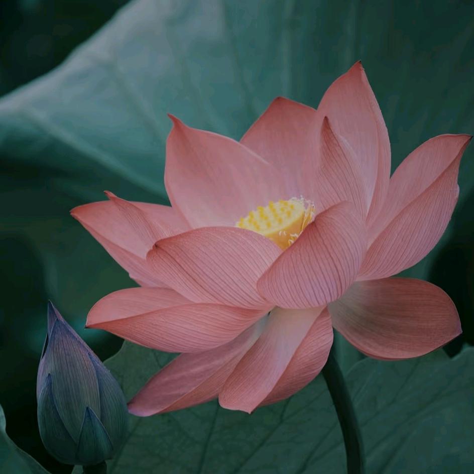 冬树暖⁷³💮☁️¹⁶.