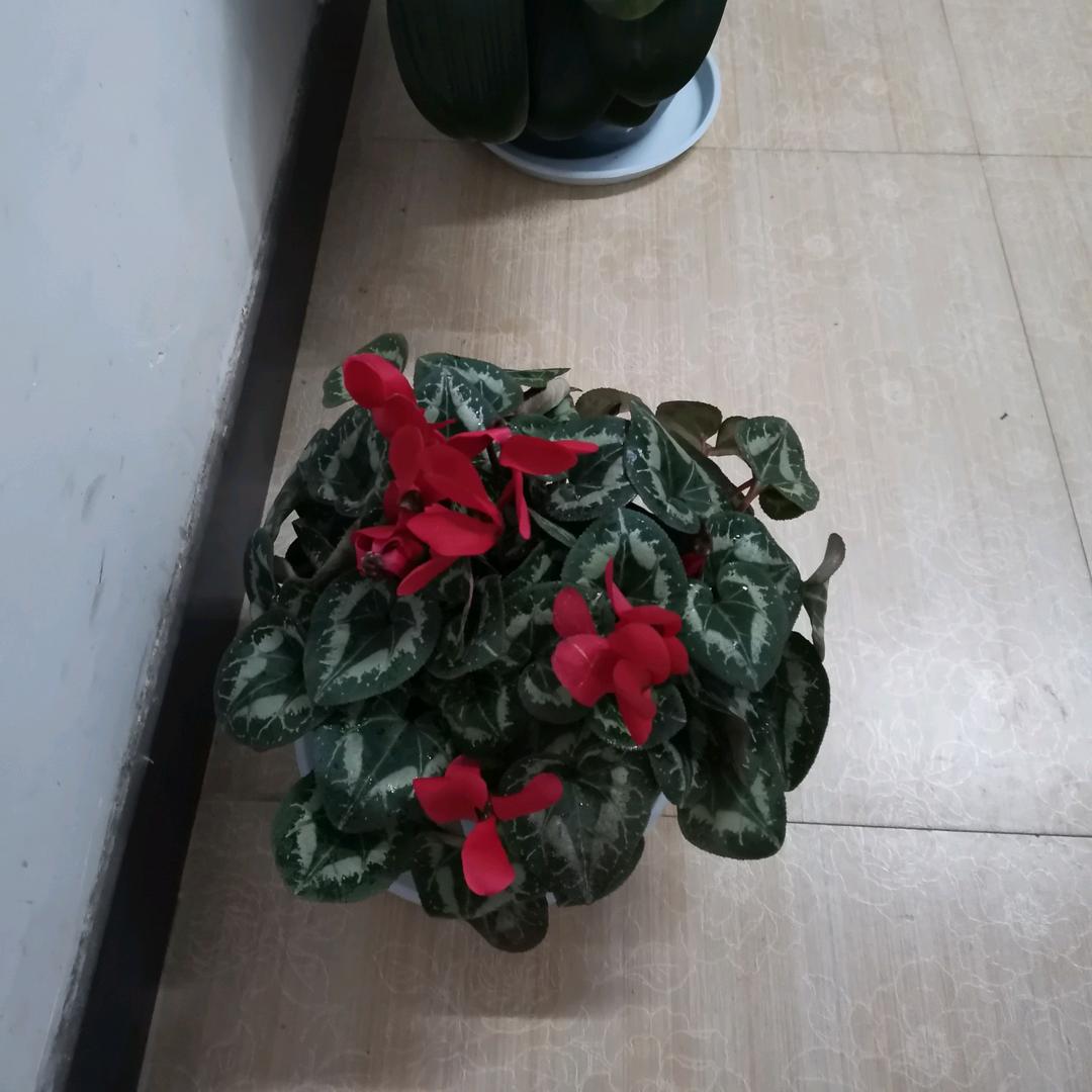 开心每一天