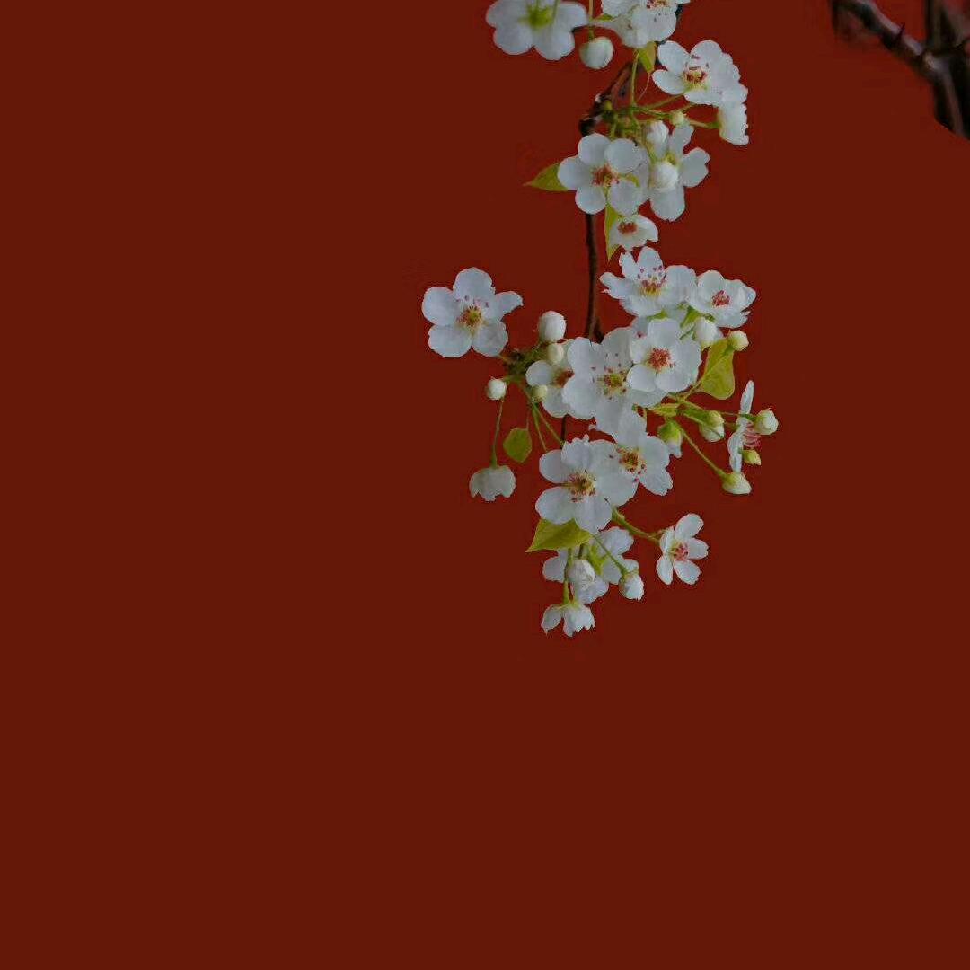 溪园小馆