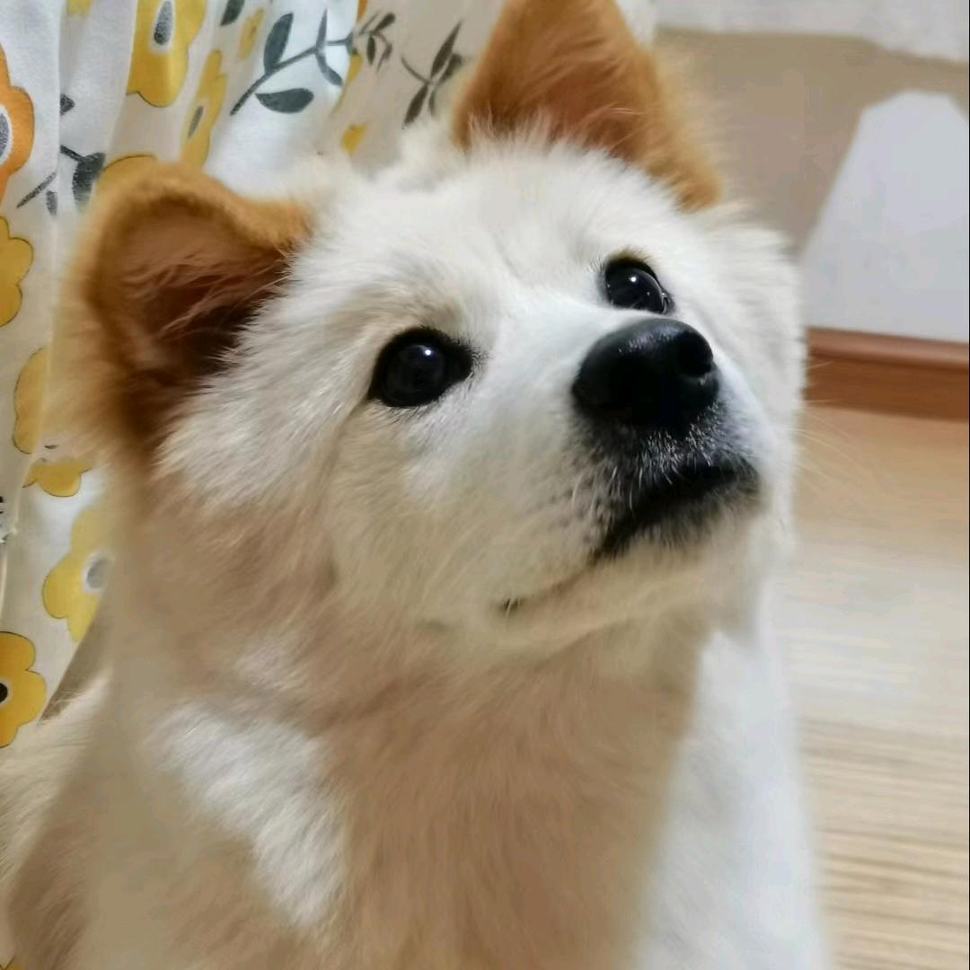 最最头像
