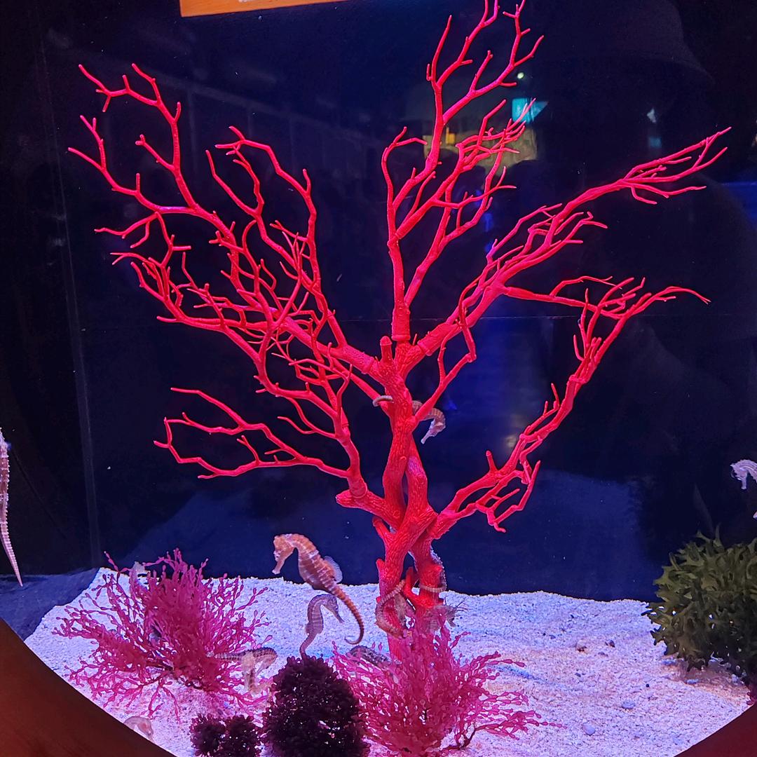 删除呐曾经