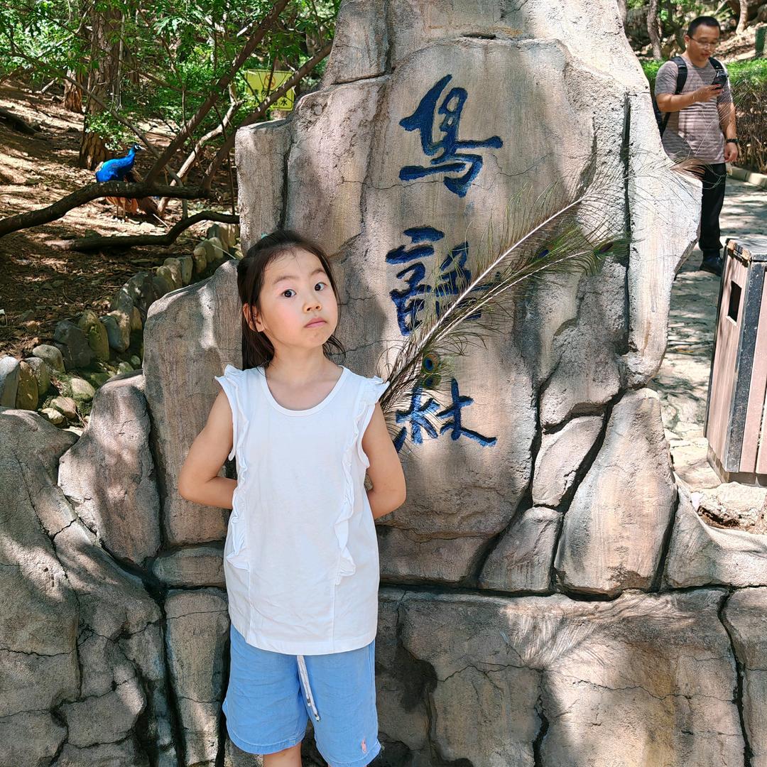 美美书童