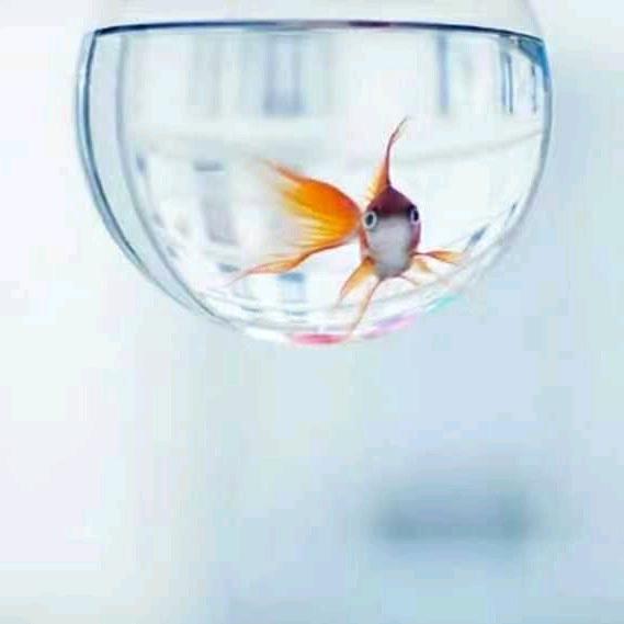 修修补补又一天（路人哥)