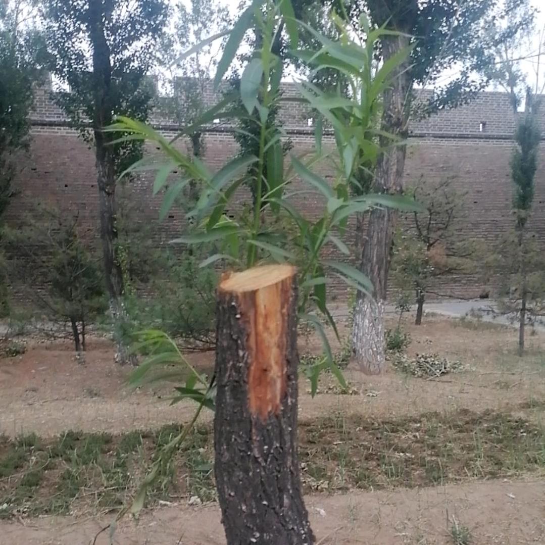 得道多助，失道寡助