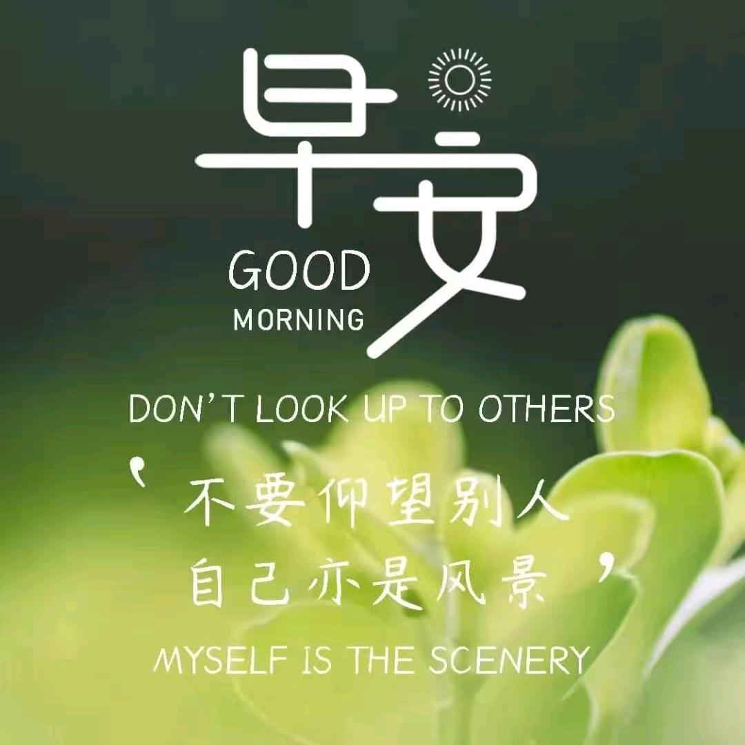 臻臻爱生活