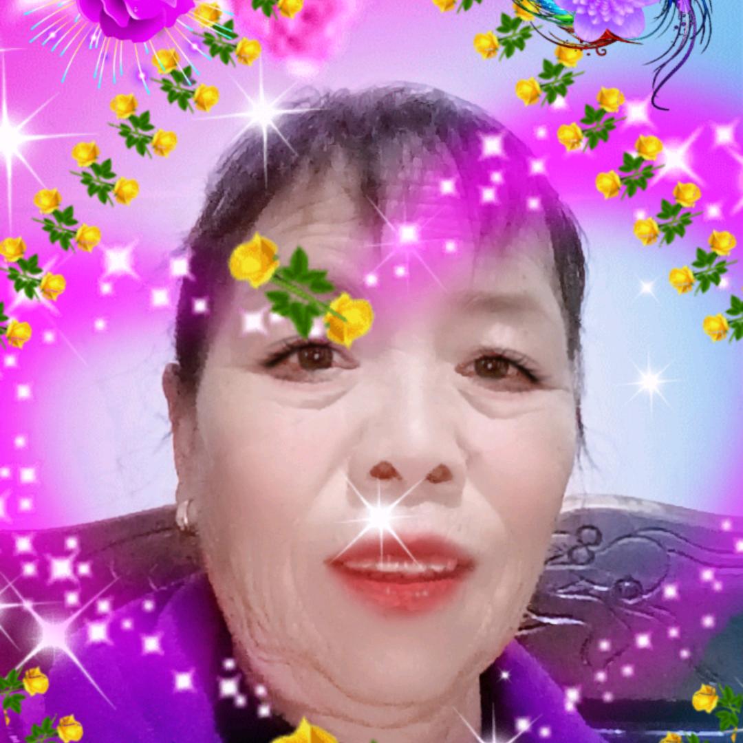 杨会英
