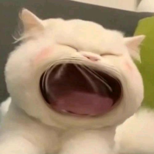 红烧又呀