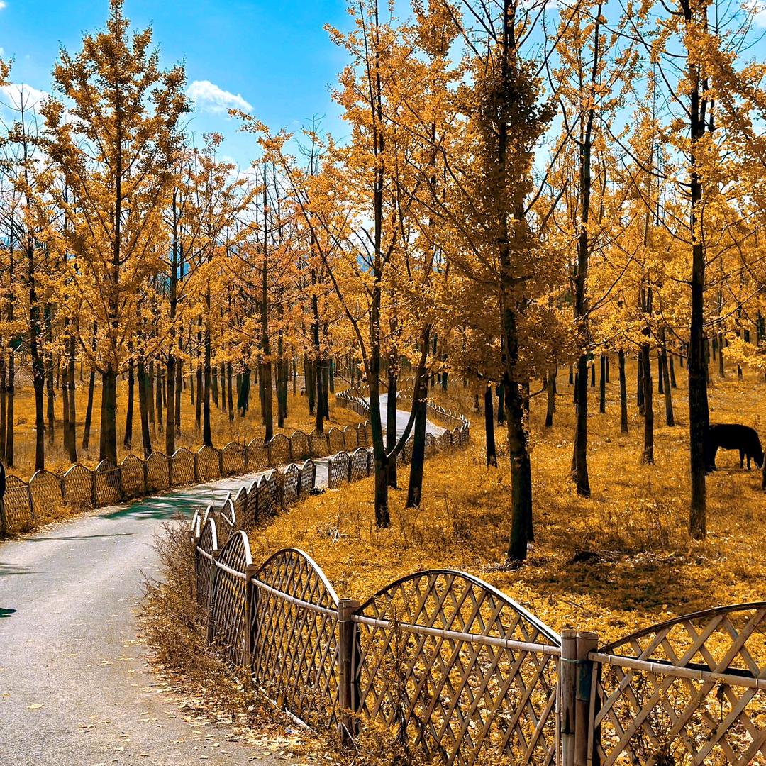 @几分醉意