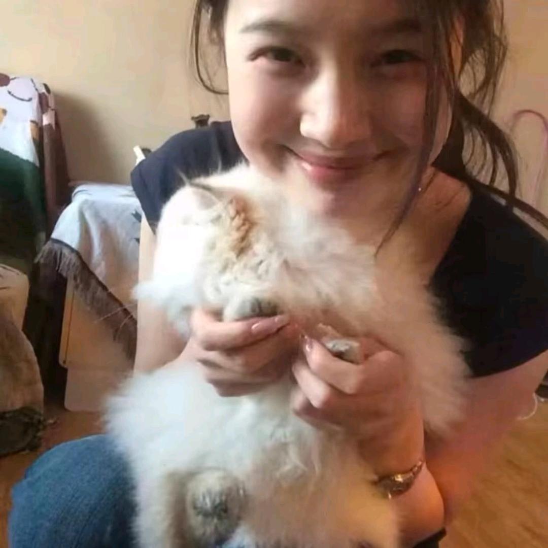 小叮喵.