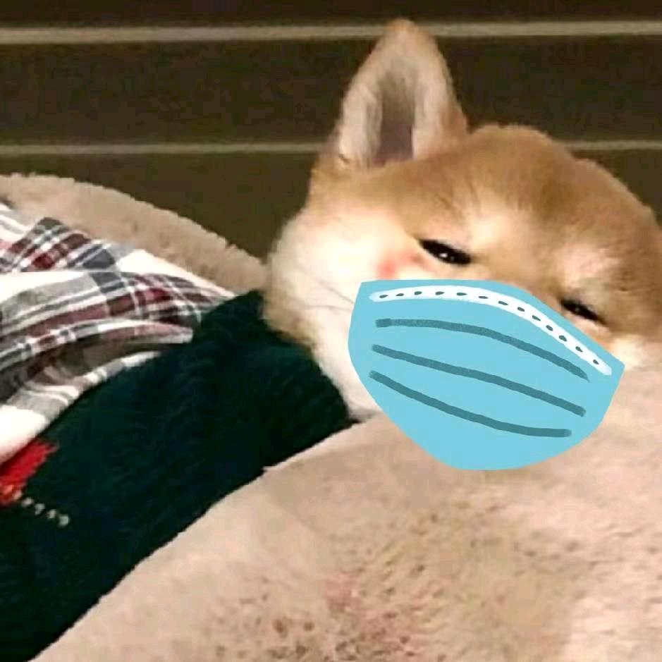 韬韬Ovo