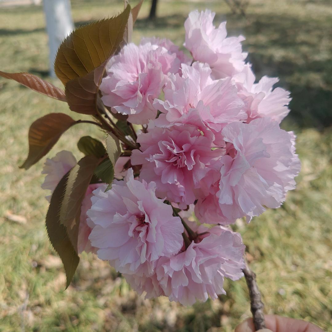 与世无争💝💎