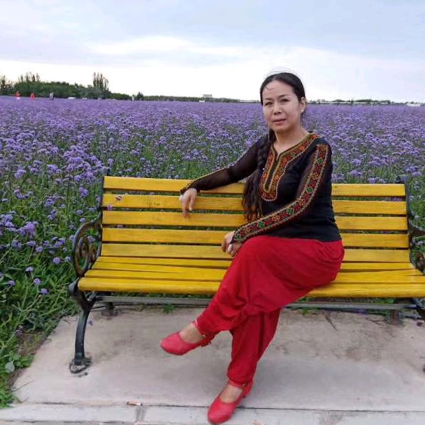 丽姐家的德文猫