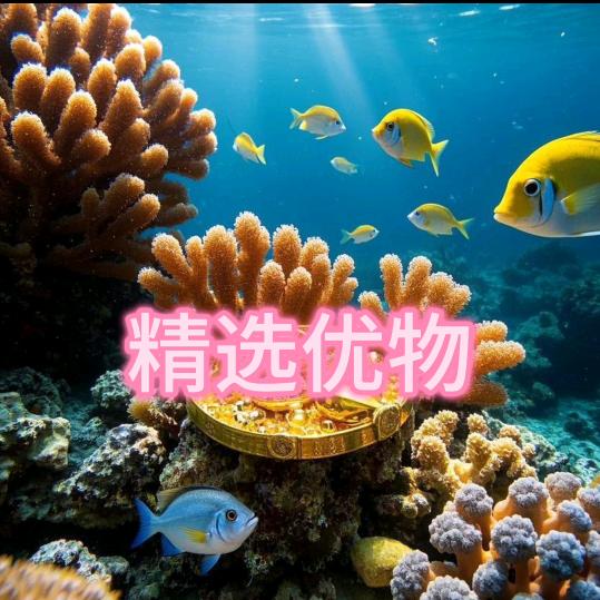 精选优物✨新鲜优惠美味