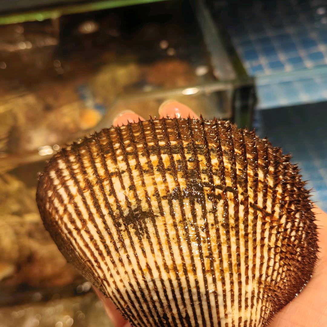 好老大