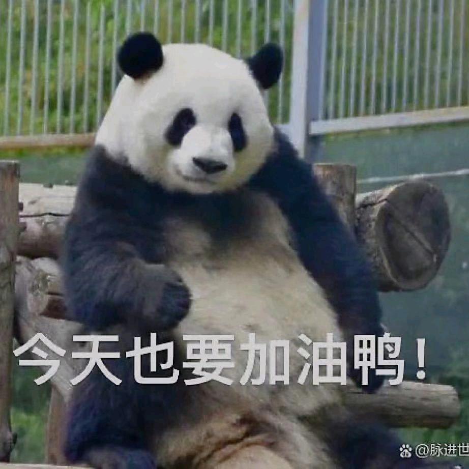 光明就在脚下