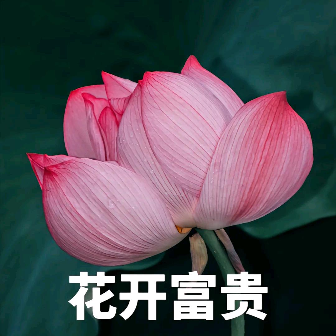 一起开心