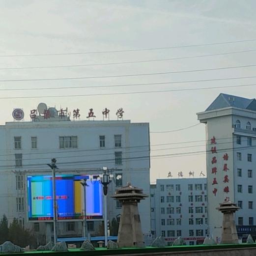 、五中小升初