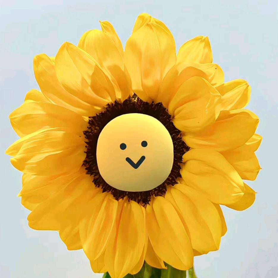 不要成为倒霉蛋