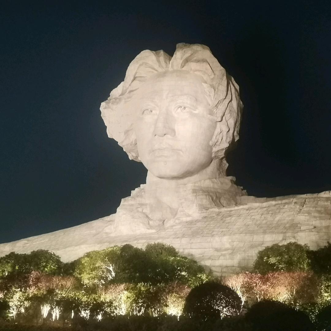 书伴花木语.大兵