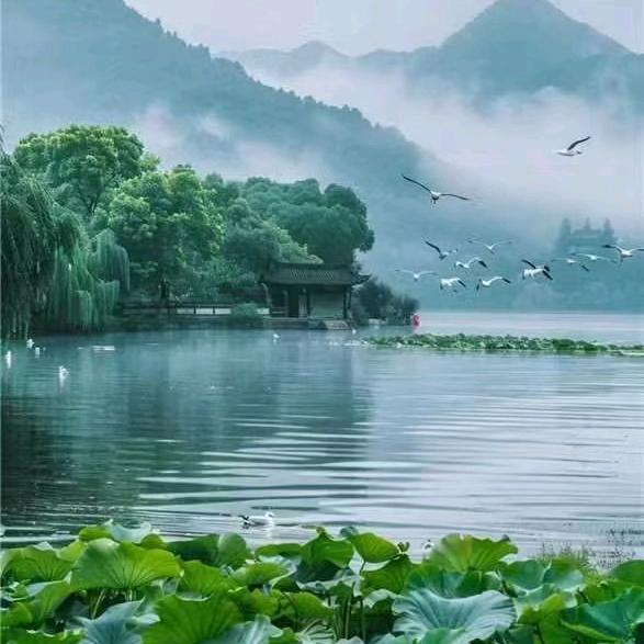 真诚相待🐭🌺