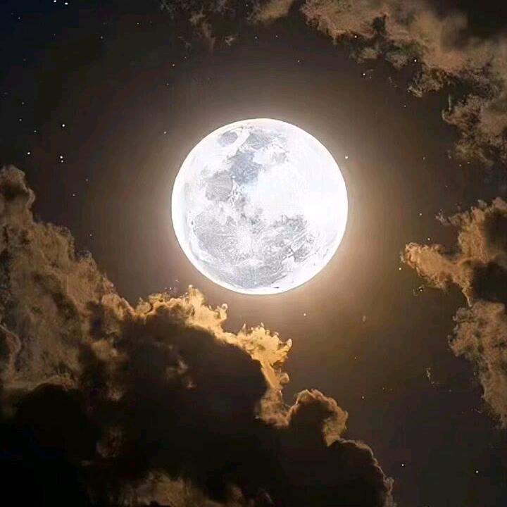 一个人