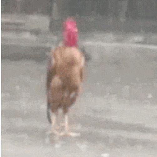 宁