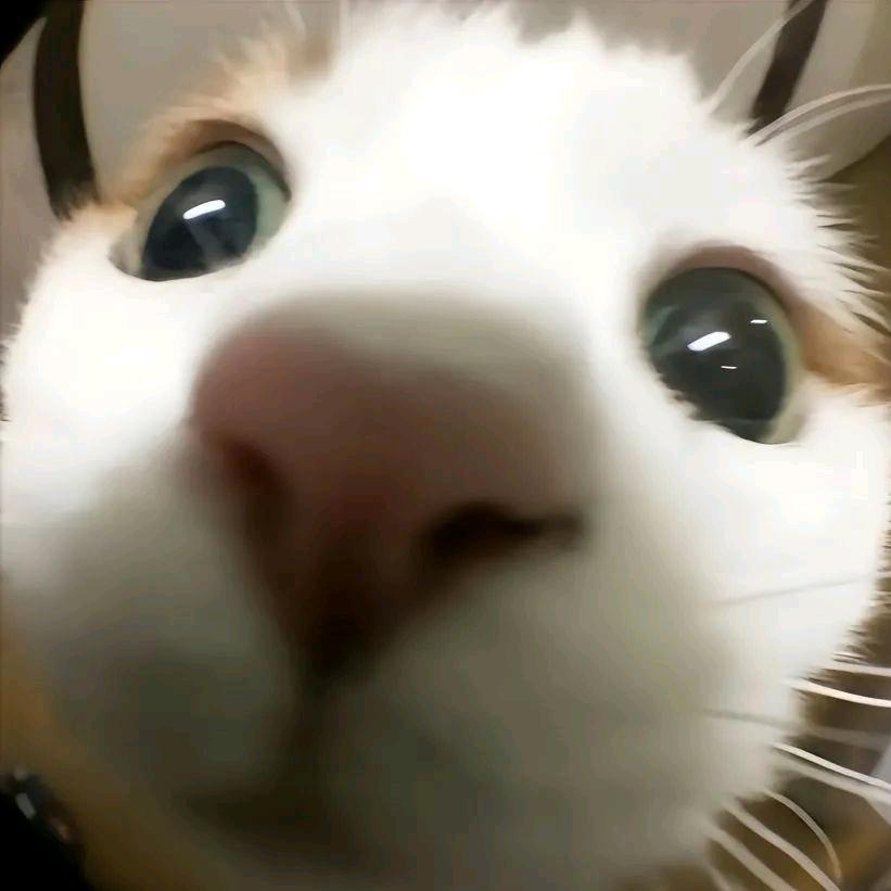 鈥兠兠