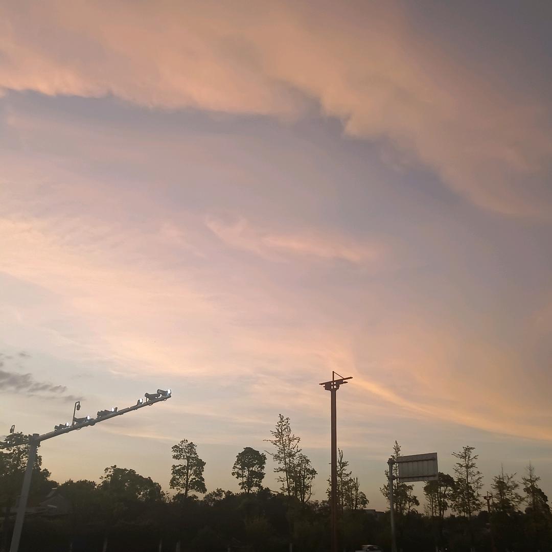 枫叶的天空