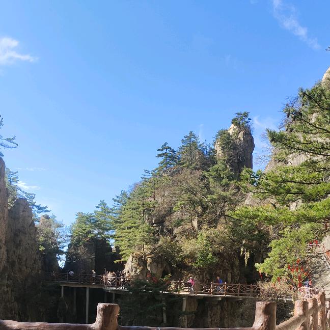 小男孩