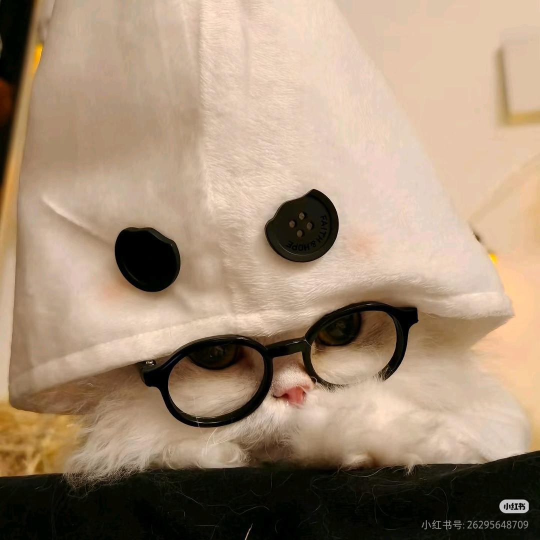 黎小洛