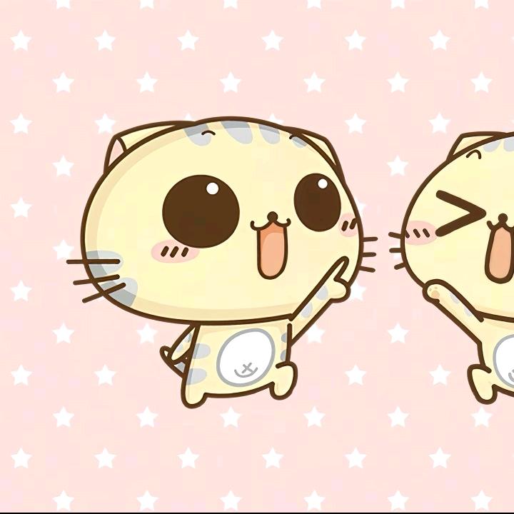 风来了