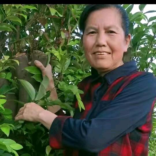 🍁熊玉芬