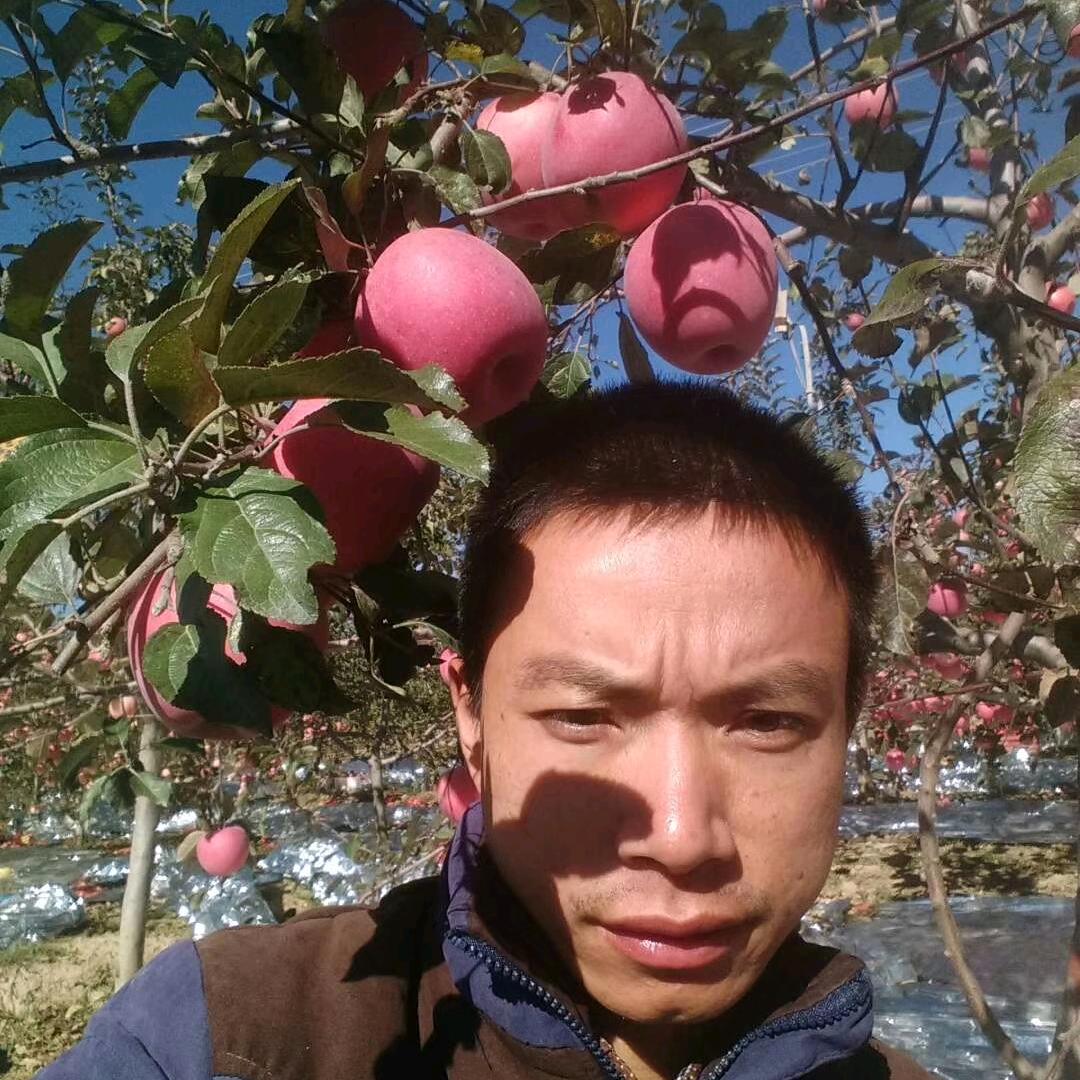淘生活首播