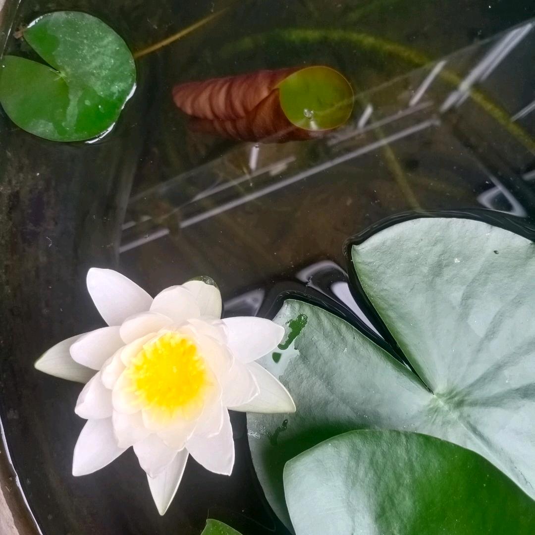 尘封