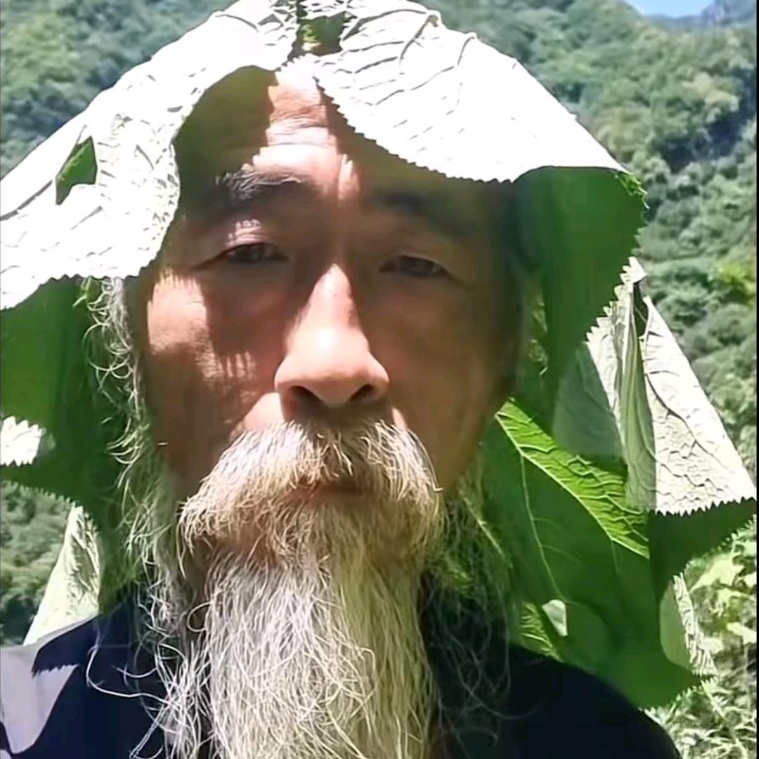 诺蓝星头像