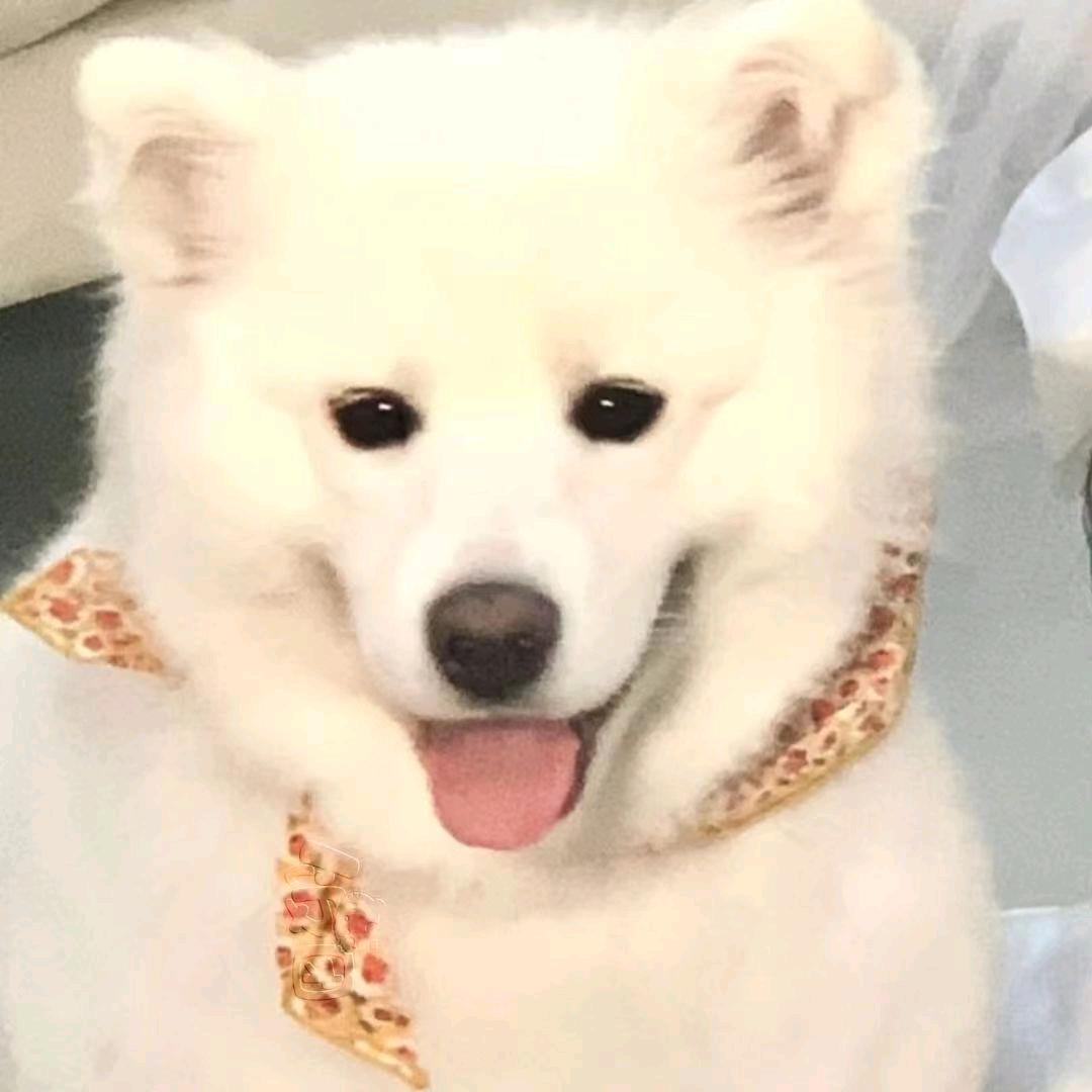 爱理不理