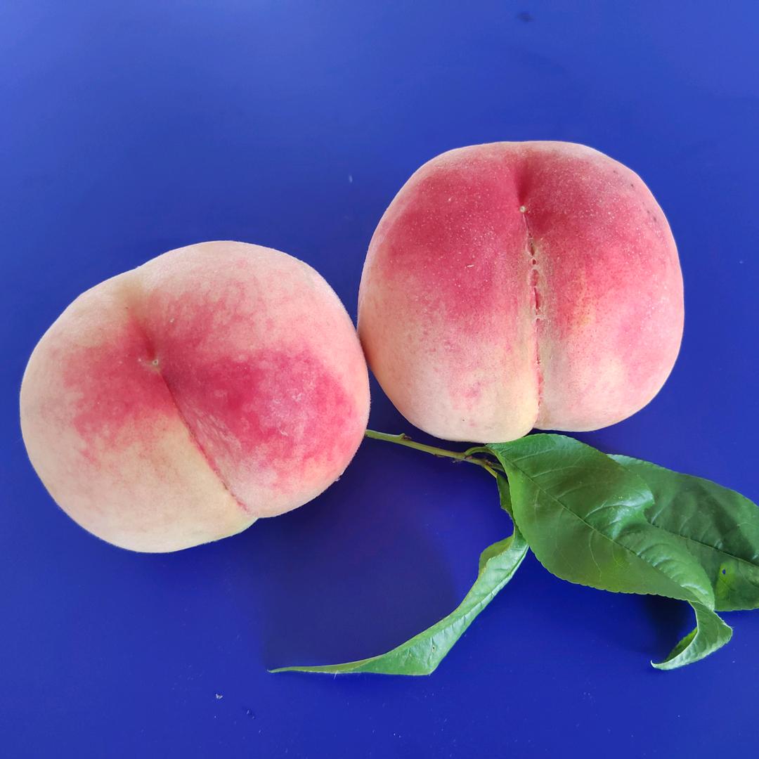 夏天