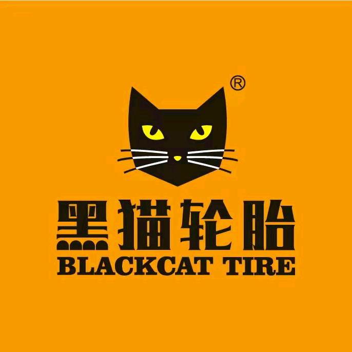 塔水镇前锋桥进街50米各种二轮三轮车修车