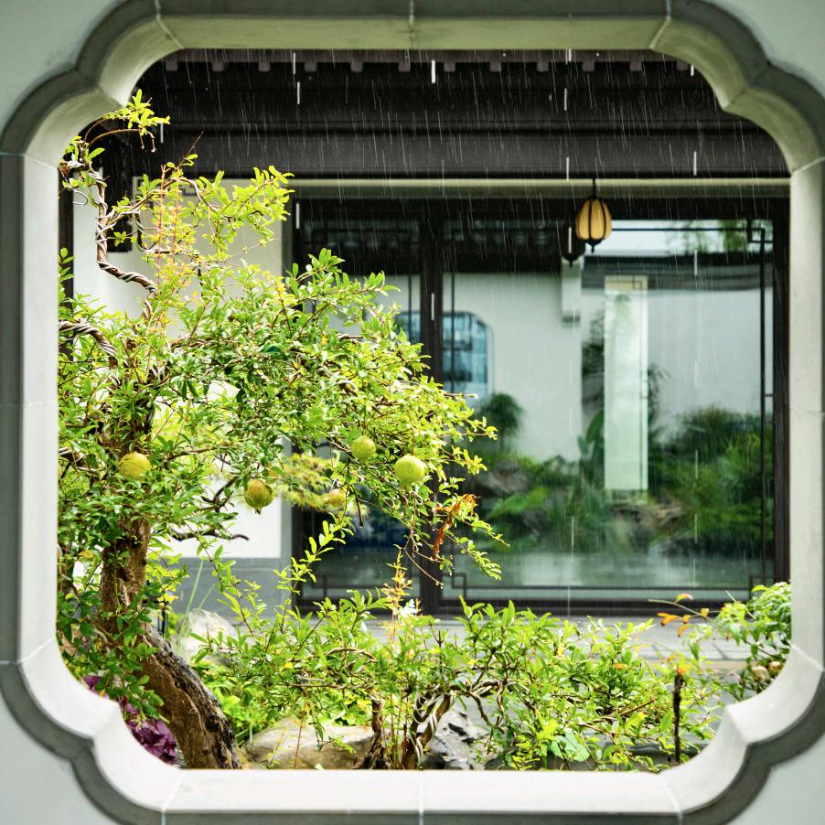 潍坊绿城江南赋-大麦