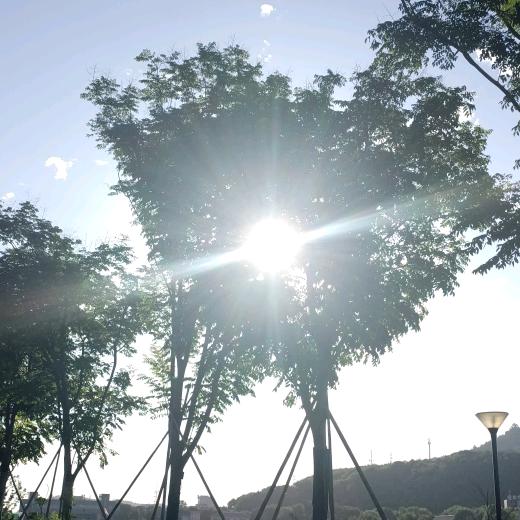 阳光下的眼泪。