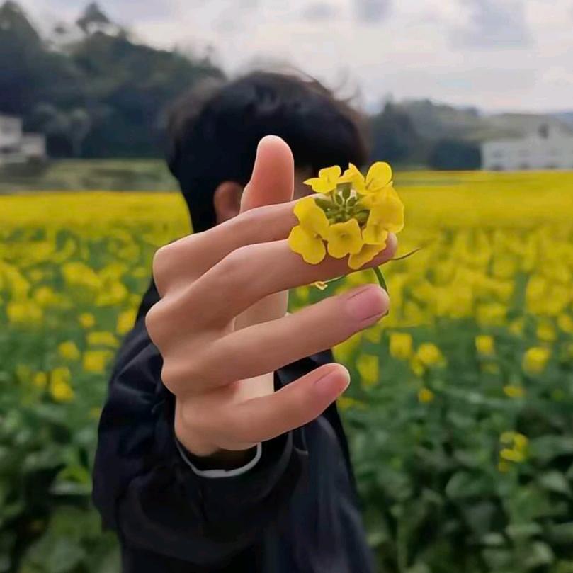 涛声依旧