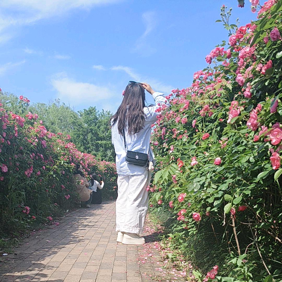 ღ᭄ꦿ꯭微醺ঞ