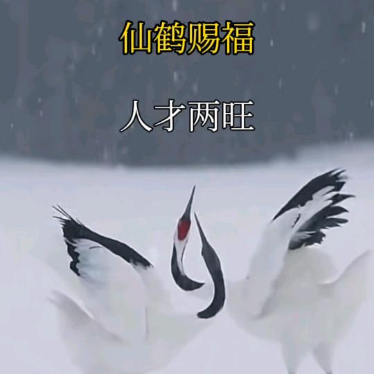 龙腾四海