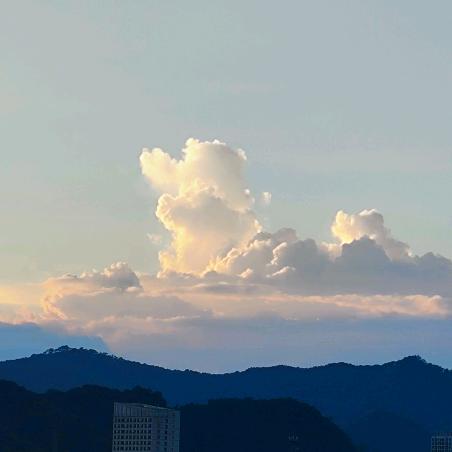 渔入枫棉