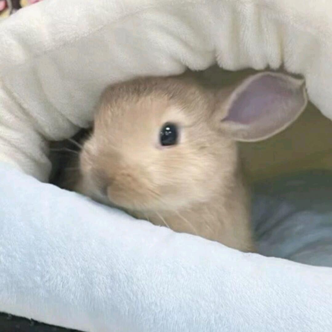 -晴
